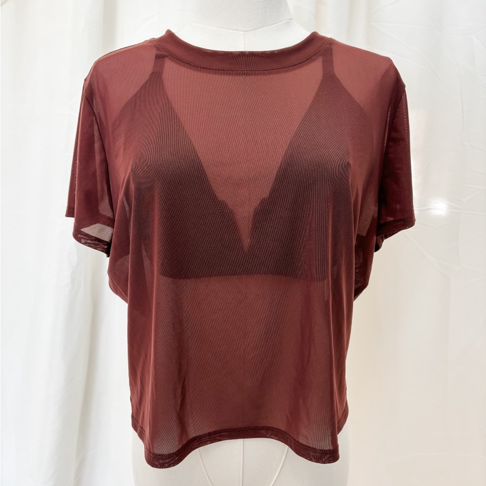 Express sheer brown crop top XL